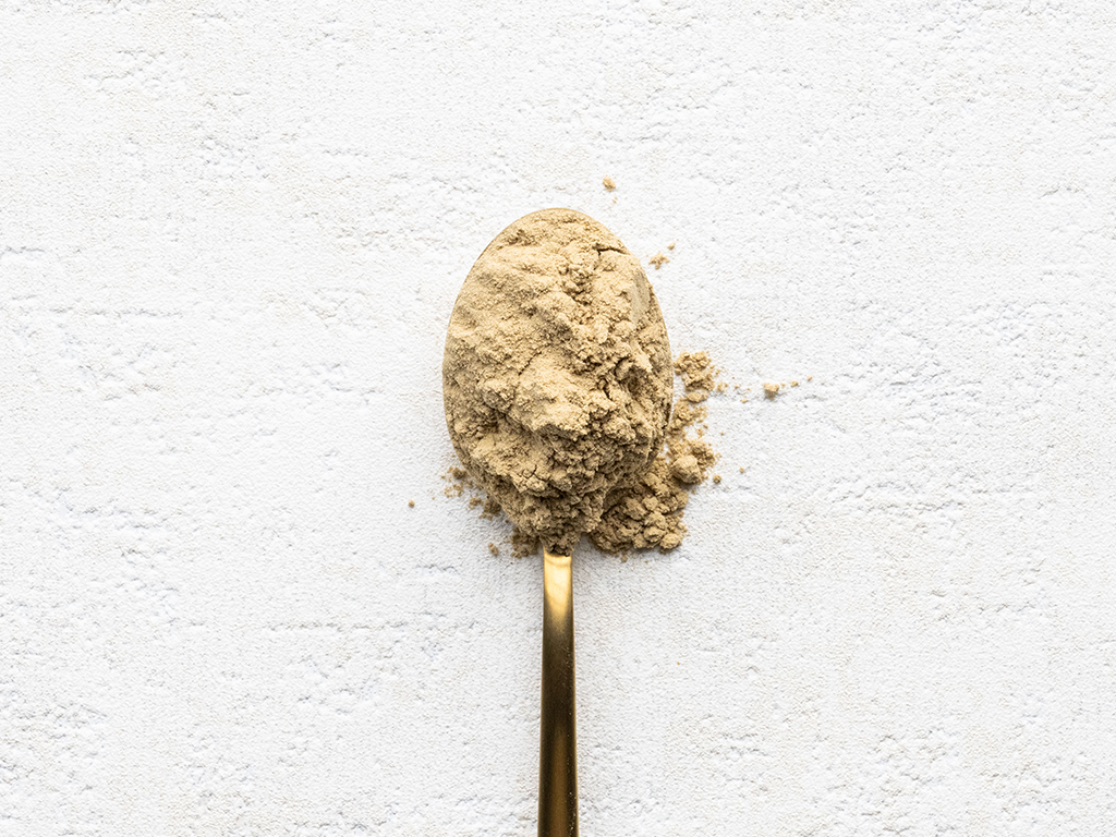 Why Do I Need Protein?